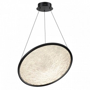 Подвесной светильник Odeon Light Fuso 7046/41L в Камышлове - kamyshlov.mebel24.online | фото 2