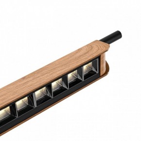 Подвесной светильник Odeon Light Punto 7018/40LB в Камышлове - kamyshlov.mebel24.online | фото 6