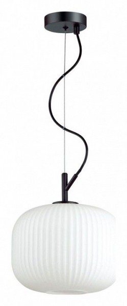 Подвесной светильник Odeon Light Roofi 4753/1 в Камышлове - kamyshlov.mebel24.online | фото 2