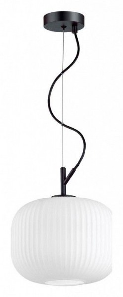 Подвесной светильник Odeon Light Roofi 4753/1 в Камышлове - kamyshlov.mebel24.online | фото 3