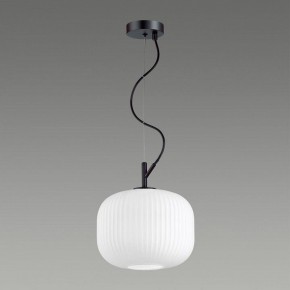 Подвесной светильник Odeon Light Roofi 4753/1 в Камышлове - kamyshlov.mebel24.online | фото 4