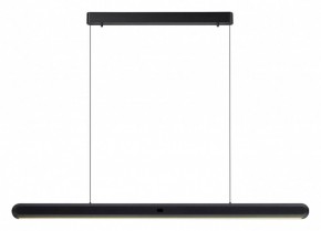 Подвесной светильник Odeon Light Satrion 6641/40L в Камышлове - kamyshlov.mebel24.online | фото 2