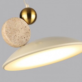 Подвесной светильник Odeon Light Travertino 6625/20L в Камышлове - kamyshlov.mebel24.online | фото 6