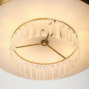 Подвесной светильник Rivoli Vickie Б0061902 в Камышлове - kamyshlov.mebel24.online | фото 11