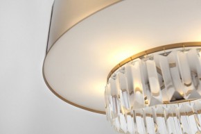 Подвесной светильник Rivoli Vickie Б0061902 в Камышлове - kamyshlov.mebel24.online | фото 14