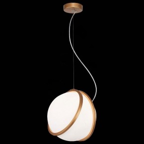 Подвесной светильник ST-Luce Acerra SL1181.353.01 в Камышлове - kamyshlov.mebel24.online | фото 4