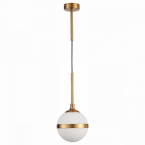 Подвесной светильник ST-Luce Arbe SL1157.303.01 в Камышлове - kamyshlov.mebel24.online | фото 2