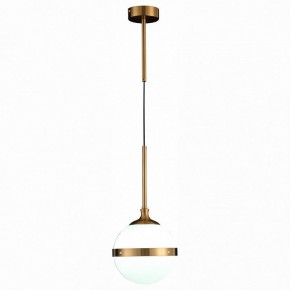 Подвесной светильник ST-Luce Arbe SL1157.303.01 в Камышлове - kamyshlov.mebel24.online | фото 3