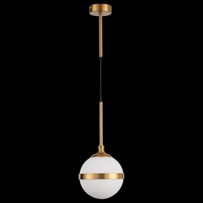 Подвесной светильник ST-Luce Arbe SL1157.303.01 в Камышлове - kamyshlov.mebel24.online | фото 4