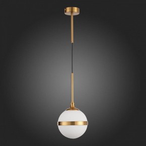Подвесной светильник ST-Luce Arbe SL1157.303.01 в Камышлове - kamyshlov.mebel24.online | фото 5