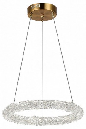 Подвесной светильник ST-Luce Avana SL6110.203.01 в Камышлове - kamyshlov.mebel24.online | фото 5