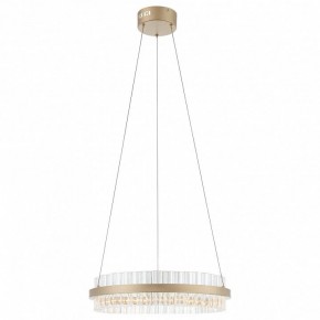 Подвесной светильник ST-Luce Cherio SL383.203.01 в Камышлове - kamyshlov.mebel24.online | фото 3