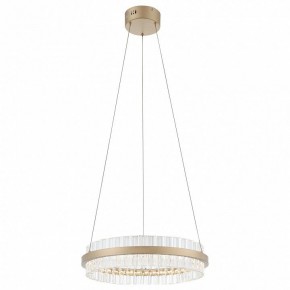 Подвесной светильник ST-Luce Cherio SL383.203.01 в Камышлове - kamyshlov.mebel24.online | фото 4