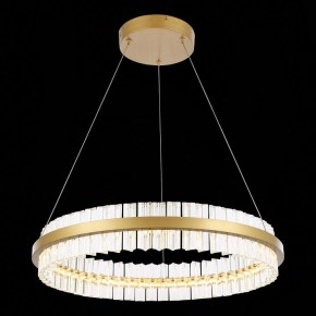Подвесной светильник ST-Luce Cherio SL383.213.01 в Камышлове - kamyshlov.mebel24.online | фото 4