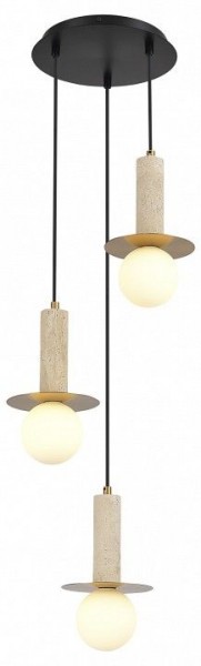 Подвесной светильник ST-Luce Earthy SL1194.303.03 в Камышлове - kamyshlov.mebel24.online | фото 3