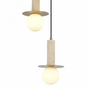 Подвесной светильник ST-Luce Earthy SL1194.303.03 в Камышлове - kamyshlov.mebel24.online | фото 4