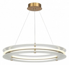 Подвесной светильник ST-Luce FAGY SL6245.203.01 в Камышлове - kamyshlov.mebel24.online | фото 2