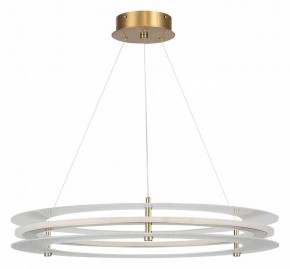 Подвесной светильник ST-Luce FAGY SL6245.203.01 в Камышлове - kamyshlov.mebel24.online | фото 3