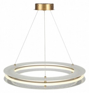 Подвесной светильник ST-Luce FAGY SL6245.203.01 в Камышлове - kamyshlov.mebel24.online | фото 4