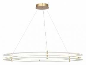 Подвесной светильник ST-Luce FAGY SL6245.213.01 в Камышлове - kamyshlov.mebel24.online | фото 2