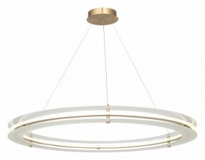 Подвесной светильник ST-Luce FAGY SL6245.213.01 в Камышлове - kamyshlov.mebel24.online | фото 4