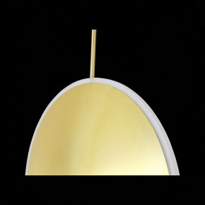 Подвесной светильник ST-Luce Imente SL1221.213.01 в Камышлове - kamyshlov.mebel24.online | фото 9