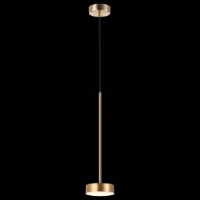 Подвесной светильник ST-Luce Pances SL6000.303.01 в Камышлове - kamyshlov.mebel24.online | фото 4