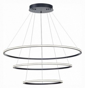 Подвесной светильник ST-Luce ST604 OUT ST604.443.114 в Камышлове - kamyshlov.mebel24.online | фото 3