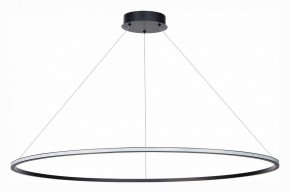 Подвесной светильник ST-Luce ST604 OUT ST604.443.46 в Камышлове - kamyshlov.mebel24.online | фото 2