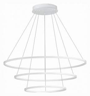 Подвесной светильник ST-Luce ST604 OUT ST604.543.114 в Камышлове - kamyshlov.mebel24.online | фото 2