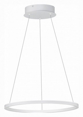 Подвесной светильник ST-Luce ST604 OUT ST604.543.22 в Камышлове - kamyshlov.mebel24.online | фото 2