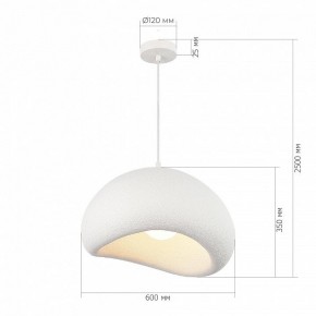Подвесной светильник ST-Luce WABI SABI SL1522.513.01 в Камышлове - kamyshlov.mebel24.online | фото 5