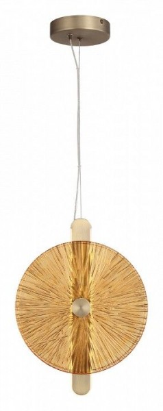 Подвесной светильник ST-Luce WASI SL6141.313.01 в Камышлове - kamyshlov.mebel24.online | фото 2