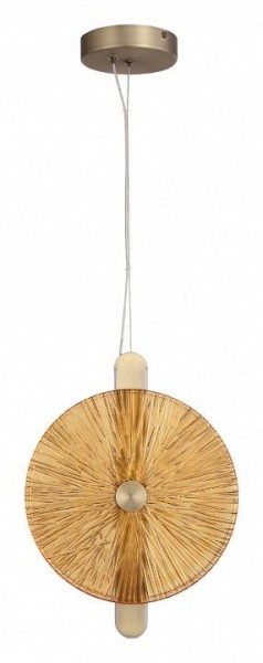 Подвесной светильник ST-Luce WASI SL6141.313.01 в Камышлове - kamyshlov.mebel24.online | фото 3