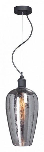 Подвесной светильник Vitaluce V4849 V4849-1/1S в Камышлове - kamyshlov.mebel24.online | фото 1
