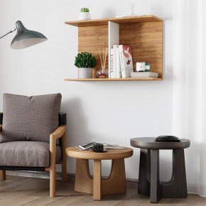 Полка Ион-3 (крафт/белый) в Камышлове - kamyshlov.mebel24.online | фото 3