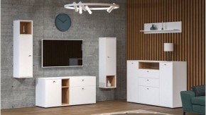 Полка навесная Бэль 10.107 в Камышлове - kamyshlov.mebel24.online | фото 3