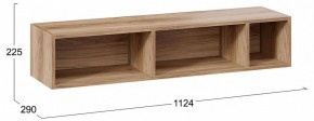 Полка навесная ТД-102.28 в Камышлове - kamyshlov.mebel24.online | фото 9