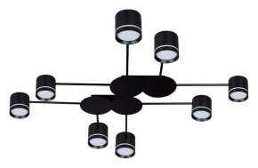Потолочная люстра Arte Lamp Legacy A8024PL-8BK в Камышлове - kamyshlov.mebel24.online | фото