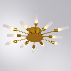 Потолочная люстра Arte Lamp Maple A1276PL-12GO в Камышлове - kamyshlov.mebel24.online | фото 1