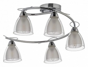 Потолочная люстра Arti Lampadari Paola, Tavenna Nickel Paola E 1.1.5 N в Камышлове - kamyshlov.mebel24.online | фото