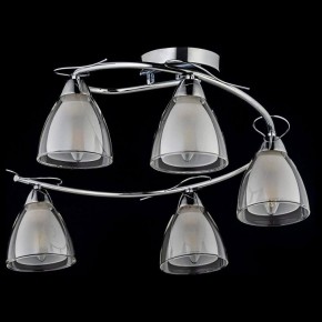 Потолочная люстра Arti Lampadari Paola, Tavenna Nickel Paola E 1.1.5 N в Камышлове - kamyshlov.mebel24.online | фото 2