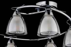 Потолочная люстра Arti Lampadari Paola, Tavenna Nickel Paola E 1.1.5 N в Камышлове - kamyshlov.mebel24.online | фото 4