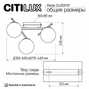 Потолочная люстра Citilux Dorsy CL223131 в Камышлове - kamyshlov.mebel24.online | фото 11