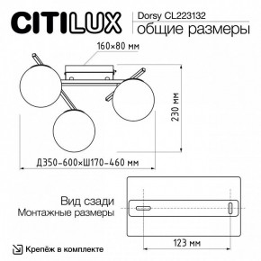 Потолочная люстра Citilux Dorsy CL223132 в Камышлове - kamyshlov.mebel24.online | фото 12