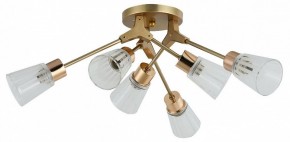 Потолочная люстра Escada Felicia 1137/6P в Камышлове - kamyshlov.mebel24.online | фото