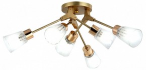 Потолочная люстра Escada Felicia 1137/6P в Камышлове - kamyshlov.mebel24.online | фото 2