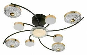 Потолочная люстра Escada Liberta 10208/8LED в Камышлове - kamyshlov.mebel24.online | фото 2