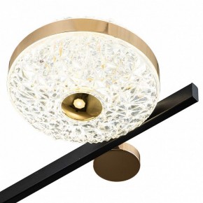 Потолочная люстра Escada Liberta 10219/6LED в Камышлове - kamyshlov.mebel24.online | фото 6