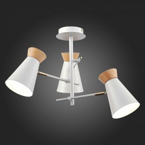Потолочная люстра EVOLUCE Alfeo SLE1252-502-03 в Камышлове - kamyshlov.mebel24.online | фото 3